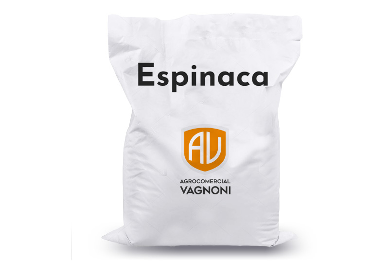 espinaca_vagnoni_bolsa