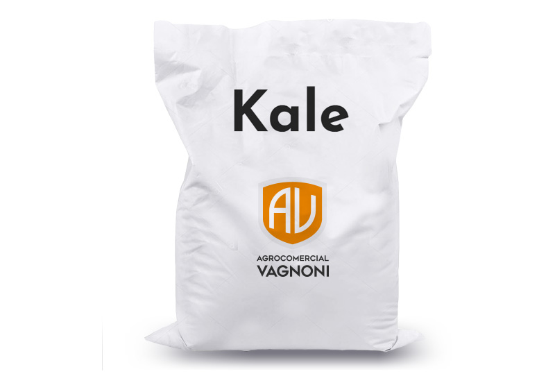 kale_vagnoni_bolsa