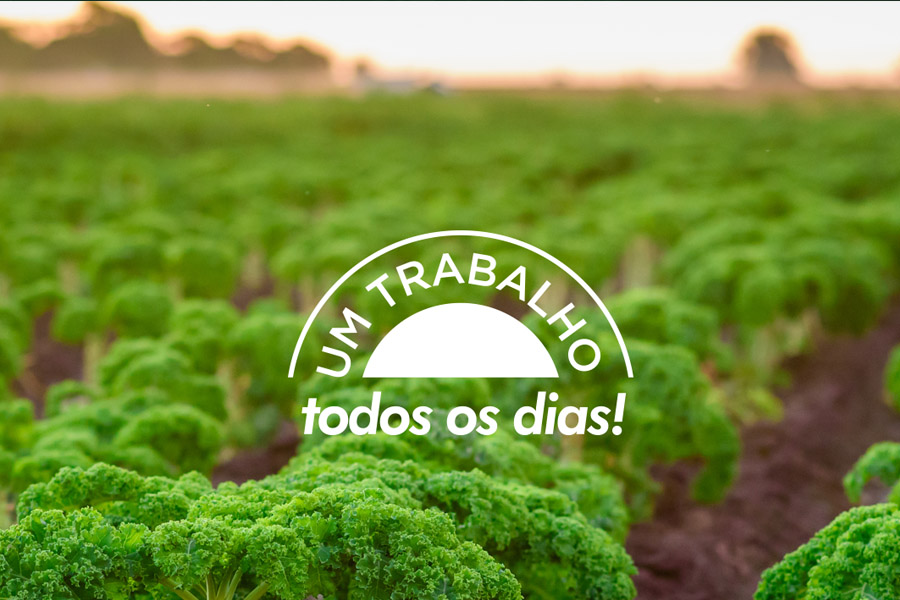 vagnoni productos kale y espinaca deshidratado en escala scudo_cel